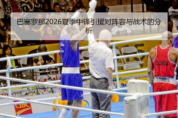 巴塞罗那2026夏季中锋引援对阵容与战术的分析