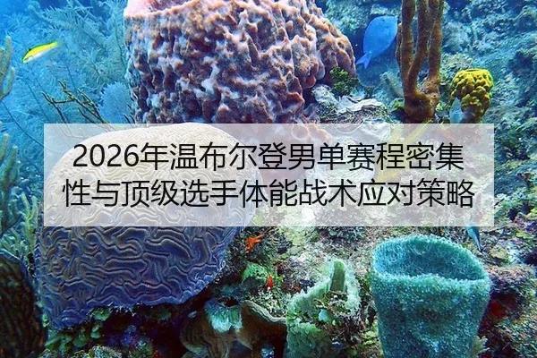 2026年温布尔登男单赛程密集性与顶级选手体能战术应对策略